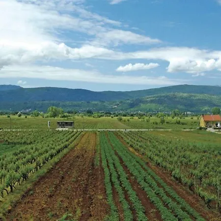 Vila Mihael * Imotski