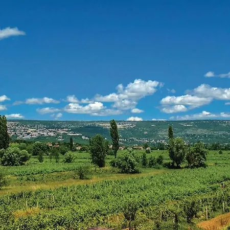 Vila Mihael * Imotski